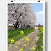 ヒメ日記 2025/04/13 10:16 投稿 沢口　りな 昼下がりの情事