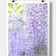 ヒメ日記 2025/05/02 09:52 投稿 沢口　りな 昼下がりの情事