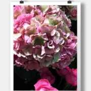 ヒメ日記 2025/06/01 10:22 投稿 沢口　りな 昼下がりの情事