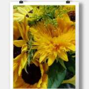 ヒメ日記 2025/08/03 10:17 投稿 沢口　りな 昼下がりの情事