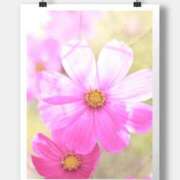 ヒメ日記 2025/09/02 10:03 投稿 沢口　りな 昼下がりの情事