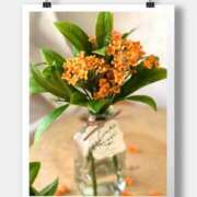 ヒメ日記 2025/10/03 10:14 投稿 沢口　りな 昼下がりの情事