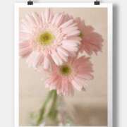 ヒメ日記 2025/11/02 10:19 投稿 沢口　りな 昼下がりの情事