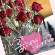 沢口　りな 皆さま、良いお年を♪ 昼下がりの情事