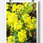 ヒメ日記 2026/03/01 10:10 投稿 沢口　りな 昼下がりの情事