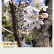 ヒメ日記 2026/03/27 09:57 投稿 沢口　りな 昼下がりの情事