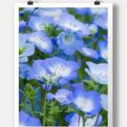 ヒメ日記 2026/04/03 10:15 投稿 沢口　りな 昼下がりの情事