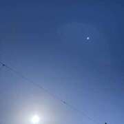 ヒメ日記 2025/02/15 09:24 投稿 今田　ゆめか 昼下がりの情事