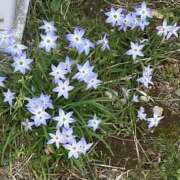 ヒメ日記 2025/04/28 09:26 投稿 今田　ゆめか 昼下がりの情事