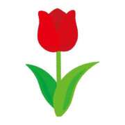 ヒメ日記 2025/03/25 21:29 投稿 つぐみ 多治見・土岐・春日井ちゃんこ