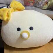 ヒメ日記 2025/09/26 22:01 投稿 つぐみ 多治見・土岐・春日井ちゃんこ