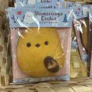 ヒメ日記 2025/11/16 13:49 投稿 つぐみ 多治見・土岐・春日井ちゃんこ