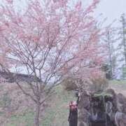ヒメ日記 2026/04/30 07:25 投稿 のん You&Me