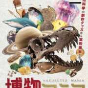 ヒメ日記 2024/06/24 14:20 投稿 なな エディーズ