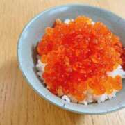 ヒメ日記 2024/12/31 10:00 投稿 なな エディーズ