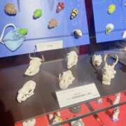 ヒメ日記 2025/04/12 21:08 投稿 なな エディーズ