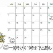 ヒメ日記 2025/04/13 20:06 投稿 なな エディーズ