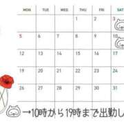 ヒメ日記 2025/04/28 20:56 投稿 なな エディーズ