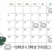 ヒメ日記 2025/07/06 21:06 投稿 なな エディーズ