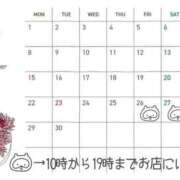 ヒメ日記 2025/08/29 14:16 投稿 なな エディーズ