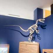 ヒメ日記 2025/08/30 20:56 投稿 なな エディーズ