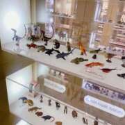 ヒメ日記 2025/09/26 19:06 投稿 なな エディーズ