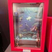 ヒメ日記 2025/10/24 20:56 投稿 なな エディーズ