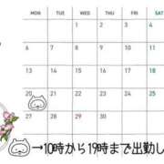 ヒメ日記 2026/03/13 14:16 投稿 なな エディーズ