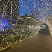 ヒメ日記 2024/12/23 17:38 投稿 満島　ゆめ アロマキュアシス 吉祥寺