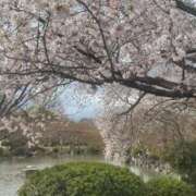 ヒメ日記 2025/03/31 15:07 投稿 満島　ゆめ アロマキュアシス 吉祥寺