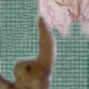 ヒメ日記 2025/01/06 12:09 投稿 れいな フェチクラブ