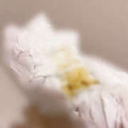 ヒメ日記 2025/02/14 11:01 投稿 れいな フェチクラブ