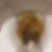 ヒメ日記 2025/02/18 11:40 投稿 れいな フェチクラブ