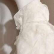 ヒメ日記 2025/03/03 11:02 投稿 れいな フェチクラブ