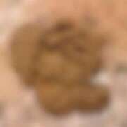 ヒメ日記 2025/03/07 21:06 投稿 れいな フェチクラブ