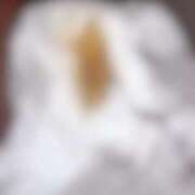 ヒメ日記 2025/03/20 11:35 投稿 れいな フェチクラブ