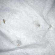 ヒメ日記 2025/03/25 12:13 投稿 れいな フェチクラブ