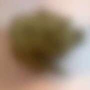 ヒメ日記 2025/04/17 20:25 投稿 れいな フェチクラブ