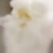 ヒメ日記 2025/06/03 10:44 投稿 れいな フェチクラブ