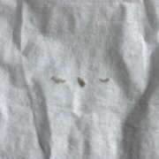 ヒメ日記 2025/06/04 10:46 投稿 れいな フェチクラブ