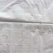 ヒメ日記 2025/07/01 10:54 投稿 れいな フェチクラブ