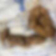 ヒメ日記 2025/07/14 18:42 投稿 れいな フェチクラブ