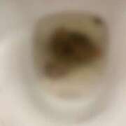 ヒメ日記 2025/07/15 10:33 投稿 れいな フェチクラブ