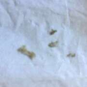 ヒメ日記 2025/08/04 10:11 投稿 れいな フェチクラブ