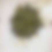 ヒメ日記 2025/08/05 19:22 投稿 れいな フェチクラブ