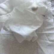 ヒメ日記 2025/09/16 11:18 投稿 れいな フェチクラブ