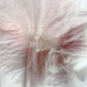 ヒメ日記 2025/10/10 10:17 投稿 れいな フェチクラブ