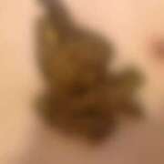 ヒメ日記 2025/10/12 18:34 投稿 れいな フェチクラブ