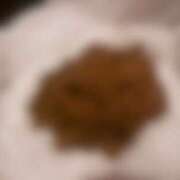 ヒメ日記 2025/12/06 18:48 投稿 れいな フェチクラブ