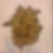 ヒメ日記 2025/12/22 18:18 投稿 れいな フェチクラブ